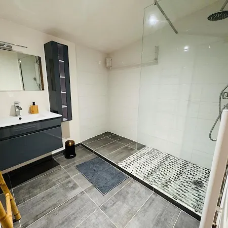 L'emile Zola L 2 L Hypercentre Castres (Tarn)