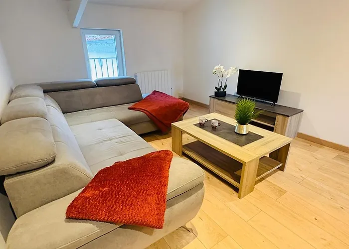 Apartment L'emile Zola L 2 L Hypercentre Castres (Tarn)