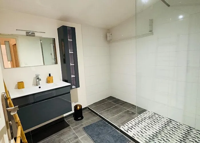 Apartment L'emile Zola L 2 L Hypercentre Castres (Tarn)