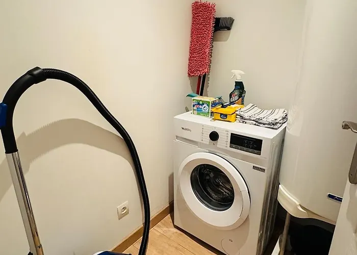 L'emile Zola L 2 L Hypercentre