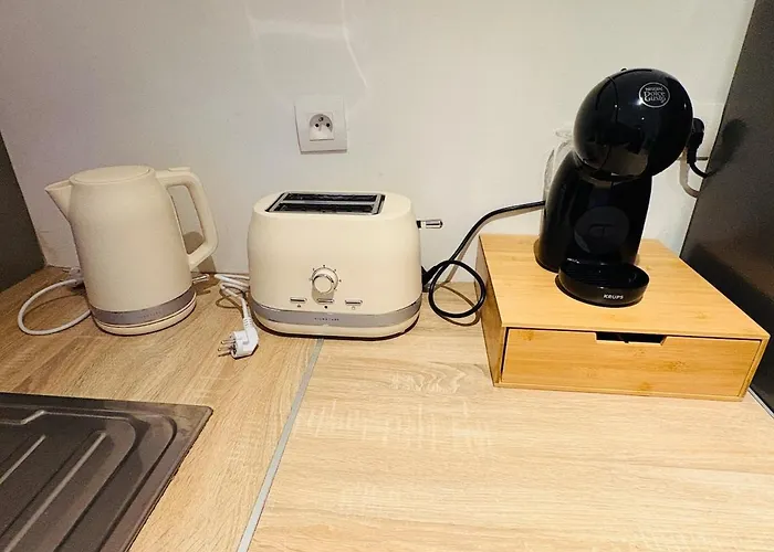 L'emile Zola L 2 L Hypercentre * Castres (Tarn)