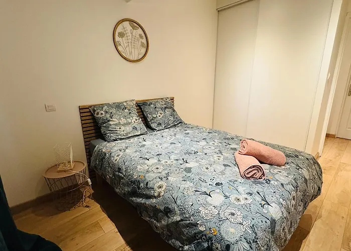 Apartment L'emile Zola L 2 L Hypercentre Castres (Tarn)