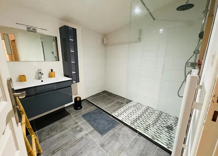 L'emile Zola L 2 L Hypercentre Castres (Tarn)